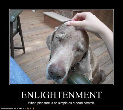 Name:  funny-dog-pictures-enlightenment-scratch.jpg
Views: 167
Size:  26.5 KB