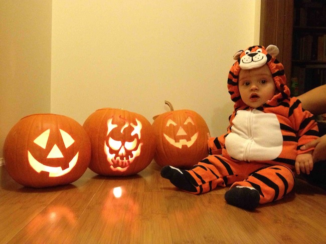 Name:  babypumpkins.jpg
Views: 258
Size:  101.0 KB