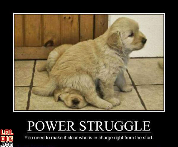 Name:  puppy-sitting-on-another-puppy-power-struggle-demotivator.jpg
Views: 3624
Size:  46.6 KB