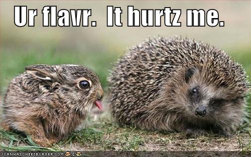 Name:  funny-pictures-bunny-porcupine-flavor.jpg
Views: 109
Size:  41.9 KB