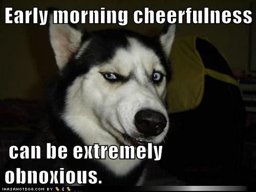 Name:  funny-dog-pictures-early-morning-cheerfulness-can-be-extremely-obnoxious.jpg
Views: 1719
Size:  35.3 KB