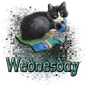 Name:  cat-wednesday.gif
Views: 91
Size:  44.9 KB