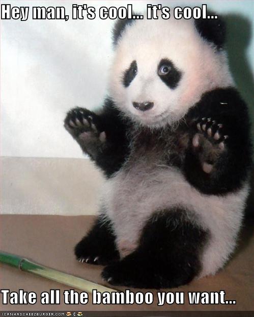 Name:  funny-pictures-panda-will-let-you-take-the-bamboo.jpg
Views: 89
Size:  41.7 KB
