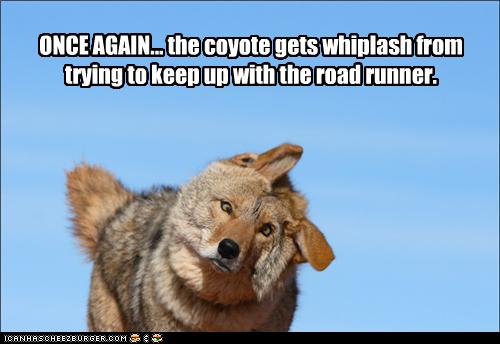 Name:  coyote whiplash.jpg
Views: 148
Size:  27.1 KB