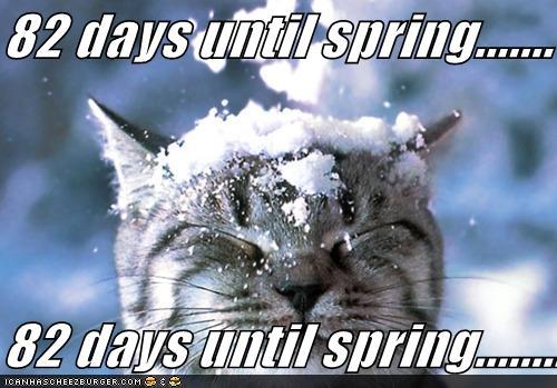 Name:  funny-pictures-cat-snow-spring1.jpg
Views: 4607
Size:  41.0 KB