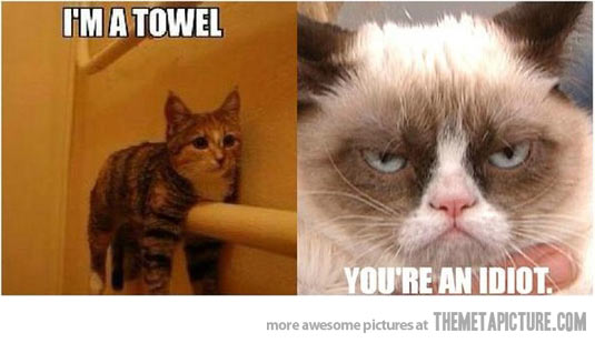 Name:  funny-Grumpy-cat-towel-meme.jpg
Views: 44782
Size:  31.4 KB