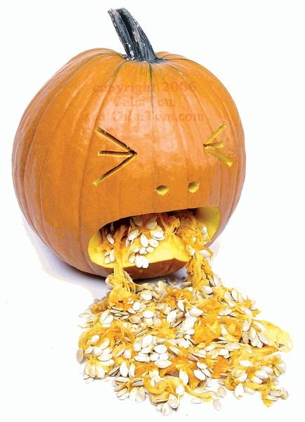 Name:  pumpkin-throwing-up.jpg
Views: 130
Size:  47.2 KB