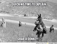 Name:  grab a donkey.jpg
Views: 122
Size:  16.1 KB