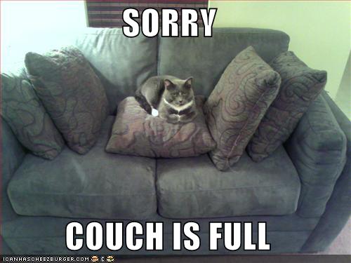 Name:  couch-is-full-i-can-has-cheezburger.jpg
Views: 91
Size:  29.0 KB