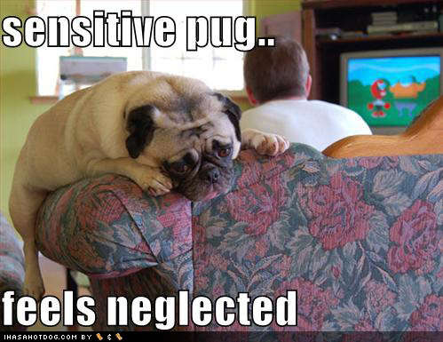 Name:  loldogs-cute-puppy-pictures-sensitivepug.jpg
Views: 5340
Size:  67.5 KB