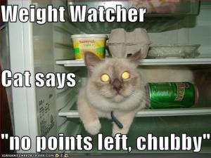 Name:  funny-pictures-weight-watcher-cat-fridge1.jpg
Views: 110
Size:  15.2 KB