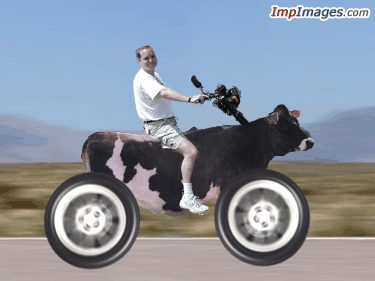 Name:  cowcycle.gif
Views: 258
Size:  181.9 KB