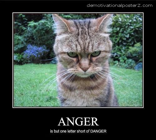 Name:  angry cat.jpg
Views: 947
Size:  47.6 KB