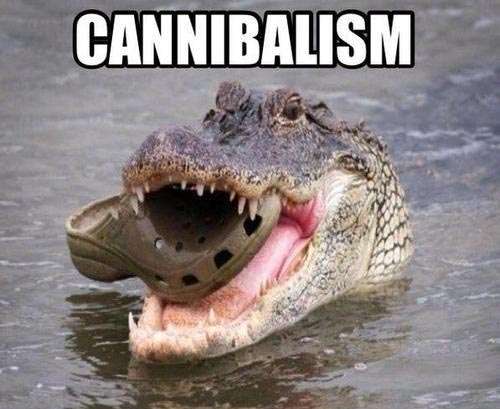 Name:  croc-cannibalism.jpg
Views: 127
Size:  50.4 KB