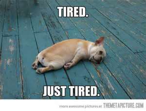 Name:  tired.jpg
Views: 238
Size:  10.0 KB