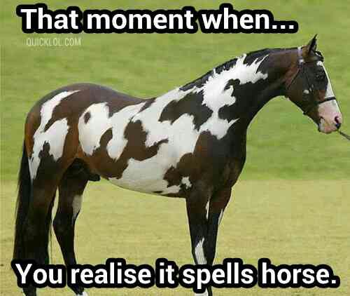 Name:  wpid-horse-markings-spells-horse-.jpg
Views: 8422
Size:  37.7 KB