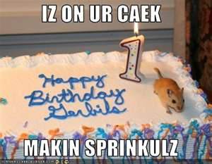 Name:  making sprinkles birthday cake.jpg
Views: 937
Size:  14.7 KB