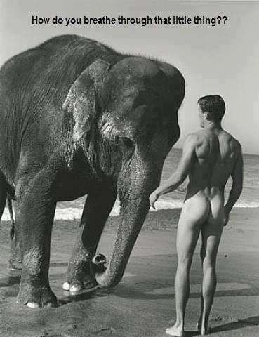 Name:  elephant-trunk.jpg
Views: 1233
Size:  24.8 KB