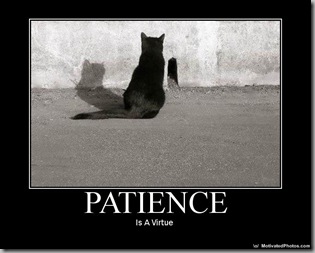 Name:  Patience+-+cat_thumb%u00255B1%5D.jpg
Views: 3497
Size:  22.9 KB