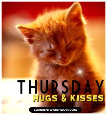 Name: thursday-hugs-and-kisses-kitten.jpg
Views: 160
Size: 19.9 KB