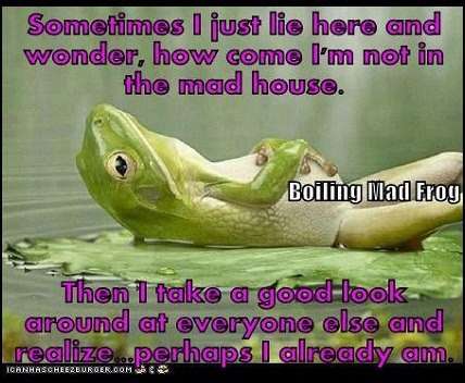 Name:  ImageUploadedByTapatalk1361601987.867721.jpg
Views: 176
Size:  27.5 KB