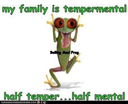 Name:  ImageUploadedByTapatalk1361602062.967248.jpg
Views: 188
Size:  32.3 KB