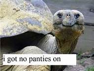 Name:  no panties on.jpg
Views: 163
Size:  7.3 KB