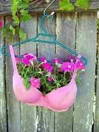 Name:  ImageUploadedByTapatalk1361678154.359996.jpg
Views: 154
Size:  15.6 KB