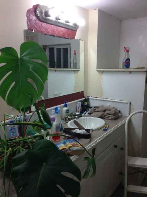Name:  ImageUploadedByTapatalk1361768061.967156.jpg
Views: 227
Size:  42.6 KB