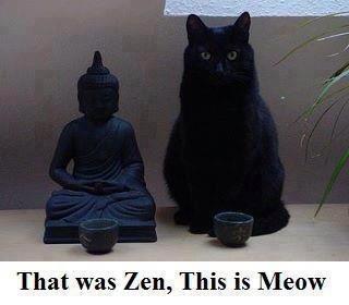 Name:  zen cat.jpg
Views: 1168
Size:  12.7 KB
