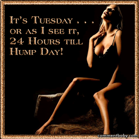 Name:  24 hour til hump day.gif
Views: 155
Size:  146.6 KB