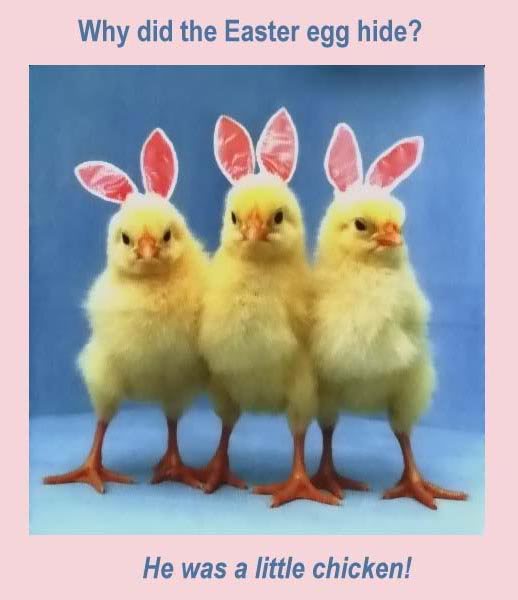 Name:  easter-egg-hunt-little-chicken-funny-picture-humor-fun-bunny.jpg
Views: 147
Size:  31.4 KB