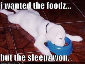 Name:  sleep won.jpg
Views: 169
Size:  11.5 KB