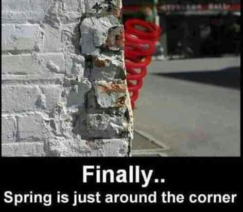 Name:  wpid-spring-just-around-the-corner-.jpg
Views: 231
Size:  32.7 KB