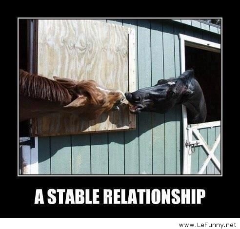 Name:  A-stable-relationship.jpg
Views: 145
Size:  38.7 KB