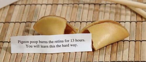Name:  funny-fortune-cookie.jpg
Views: 164
Size:  32.1 KB