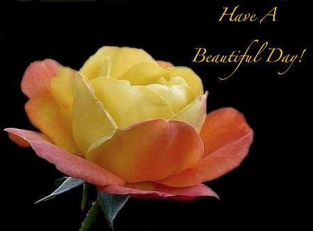 Name:  Good-Morning-tage-day-Good-Morning-comments-Have-a-Good-Day-flowers-%u0025D0%A0%D0%BE%D0%B7%D1%8.jpg
Views: 37536
Size:  25.4 KB