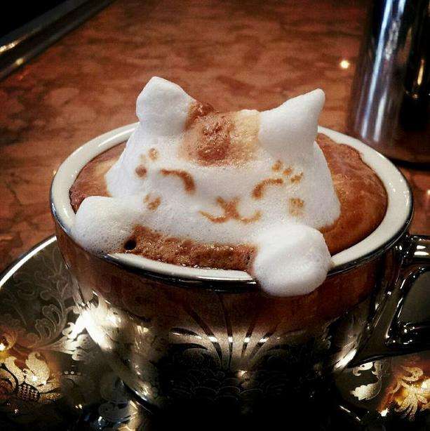 Name:  kitty coffee.jpg
Views: 149
Size:  50.4 KB