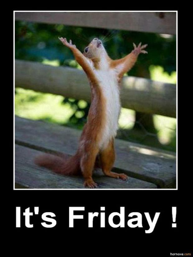 Name:  its-friday-squirrel-funny-pictures.jpg
Views: 1345
Size:  44.7 KB
