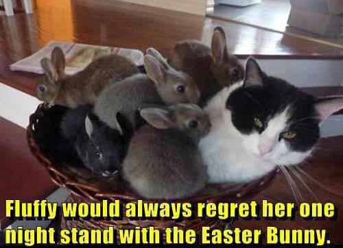 Name:  cats-one-night-stand-with-easter-bunny.jpg
Views: 915
Size:  42.6 KB