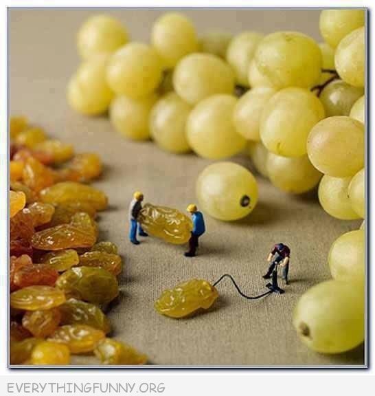 Name:  how-grapes-are-made.jpg
Views: 95
Size:  37.8 KB