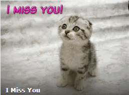 Name:  i miss you.gif
Views: 82
Size:  19.2 KB