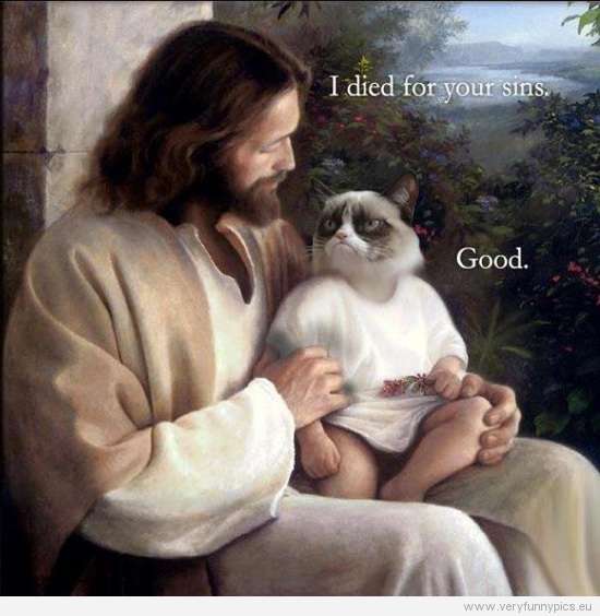 Name:  funny-picture-jesus-to-grumpy-cat-i-died-for-your-sins-good.jpg
Views: 128
Size:  33.3 KB