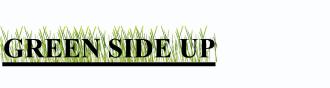 Name:  Green Side up!.jpg
Views: 86
Size:  5.0 KB