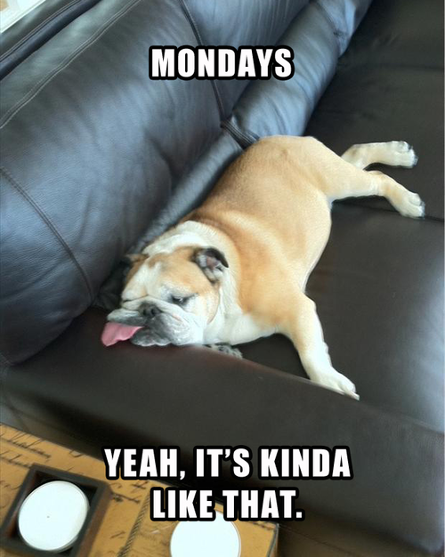 Name:  mondays.png
Views: 5184
Size:  362.3 KB