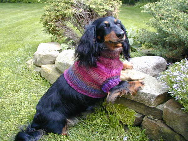 Name:  anezka-heather-brack-sweater.jpg
Views: 457
Size:  64.9 KB