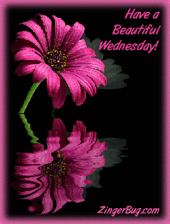 Name:  beautiful_wednesday_reflecting_pink_flower.gif
Views: 205
Size:  56.3 KB