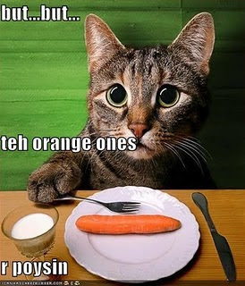 Name:  funny-pictures-cat-wonders-why-you-are-poisoning-him-with-carrots.jpg
Views: 82
Size:  36.4 KB