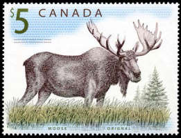 Name:  moose.jpg
Views: 110
Size:  38.4 KB