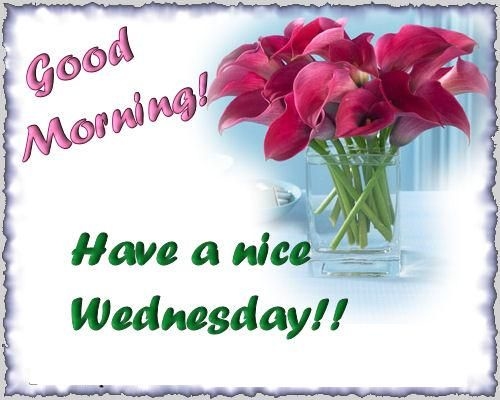Name:  77309-Good-Morning-Have-A-Nice-Wednesday.jpg
Views: 260
Size:  80.6 KB